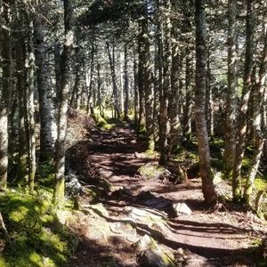 Meet your Posher, Annie